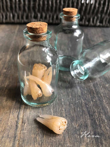 Handmade clay teeth in glass bottle